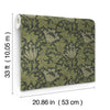 Anemone, Dark Green