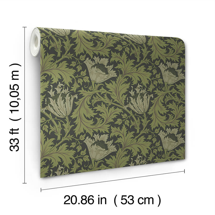 Anemone, Dark Green