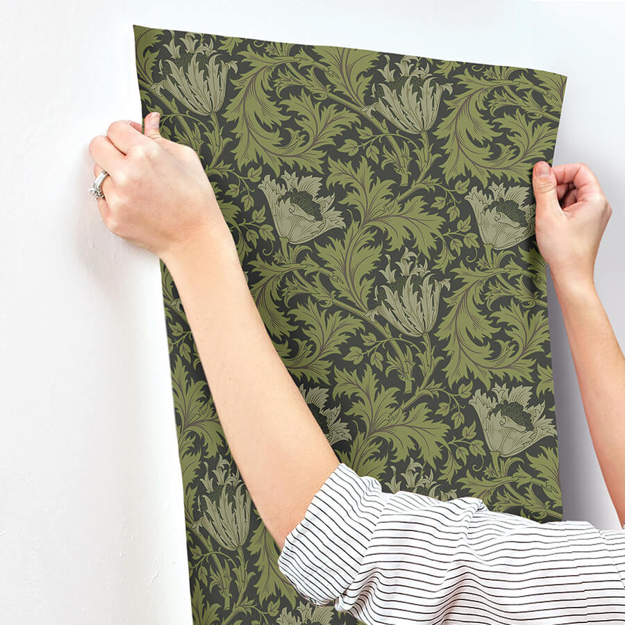 Anemone, Dark Green