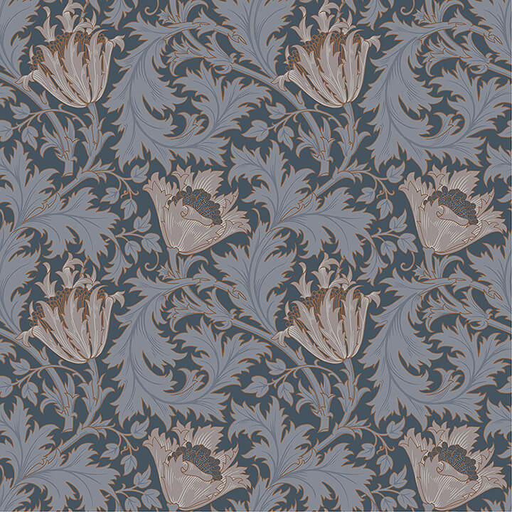 Anemone, Dark Blue