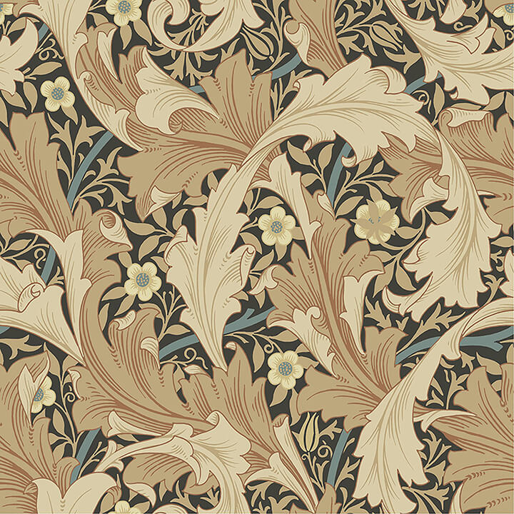 Granville, Apricot