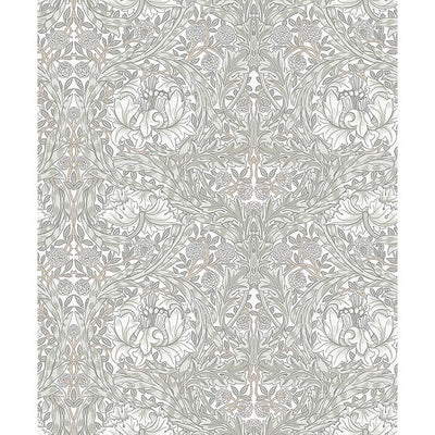 African Marigold - White Residential Wallcovering | Jeffrey Stevens