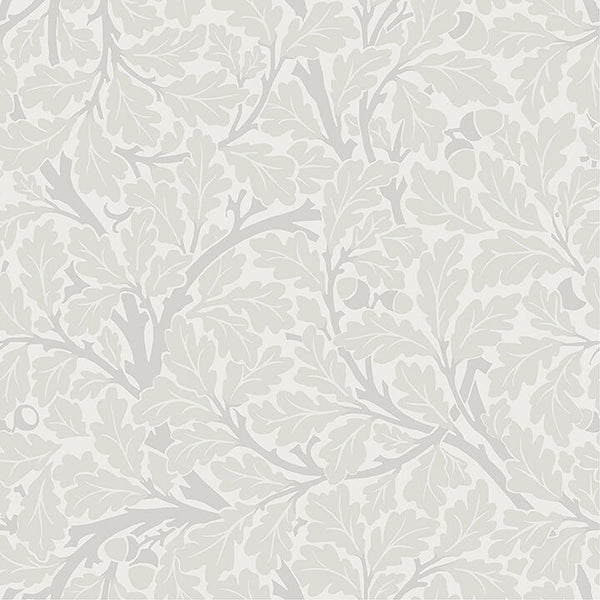 Oak Tree - Dove Residential Wallcovering | Jeffrey Stevens