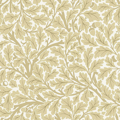 Oak Tree - Light Yellow Residential Wallcovering | Jeffrey Stevens