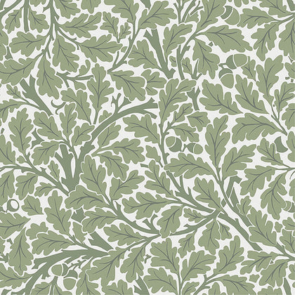 Oak Tree - Green Residential Wallcovering | Jeffrey Stevens