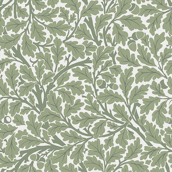 Oak Tree - Green Residential Wallcovering | Jeffrey Stevens