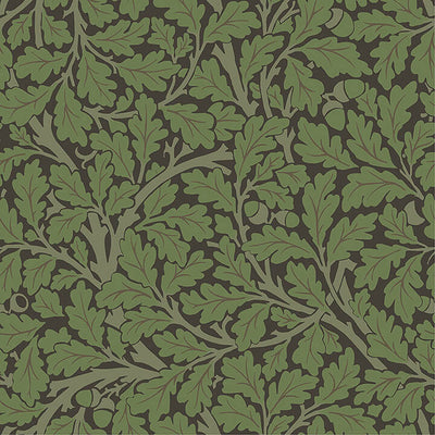 Oak Tree - Black Residential Wallcovering | Jeffrey Stevens
