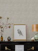 Gallivant, Grey