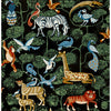 Rigby, Multicolor