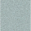 Cassie, Light Blue