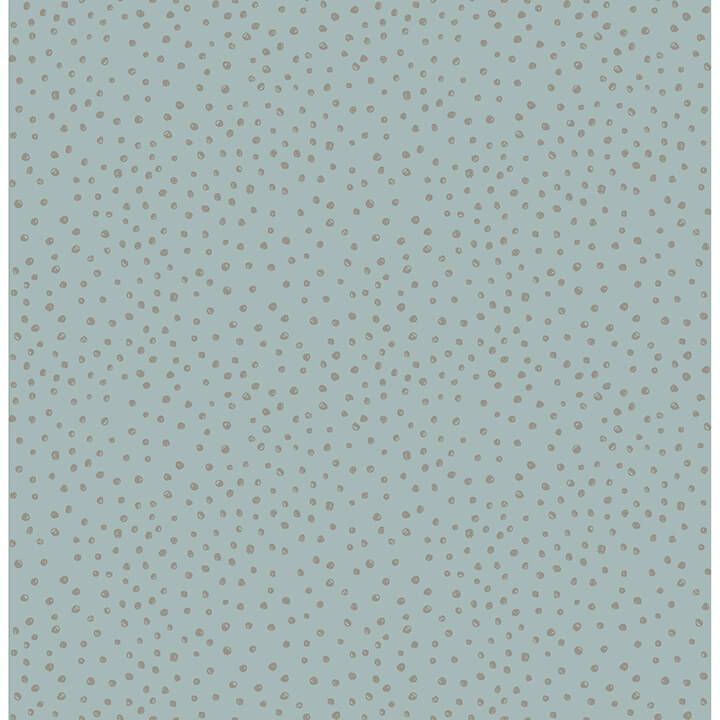 Cassie, Light Blue