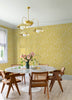 Idalia, Pale Yellow