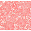 Idalia, Coral