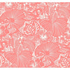 Idalia, Coral