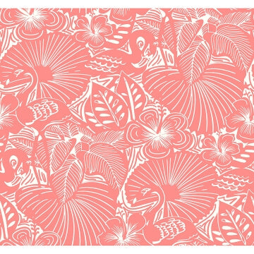 Idalia, Coral