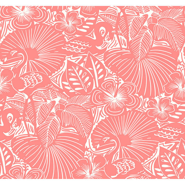 Idalia, Coral