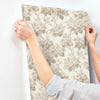 Oakcliff, Taupe