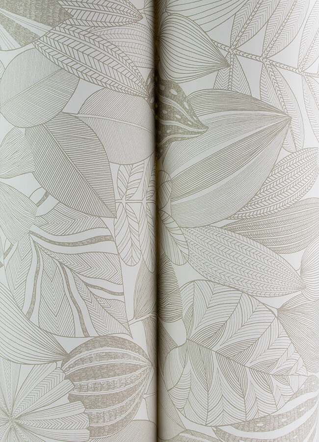 Mathias, Taupe