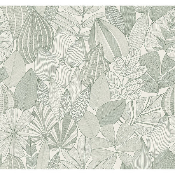 Mathias, Sage Green Wallcoverings | Malibu Wallcovering