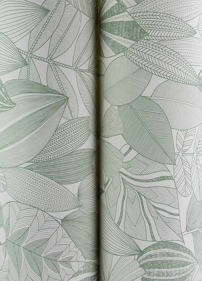Mathias, Sage Green