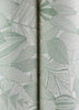 Mathias, Sage Green