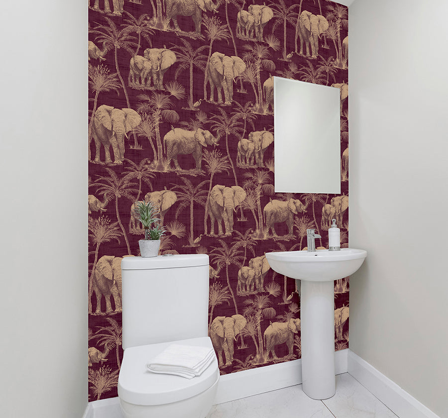 Adelia, Maroon