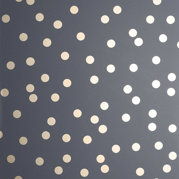 Priscella Charcoal | Jeffrey Stevens