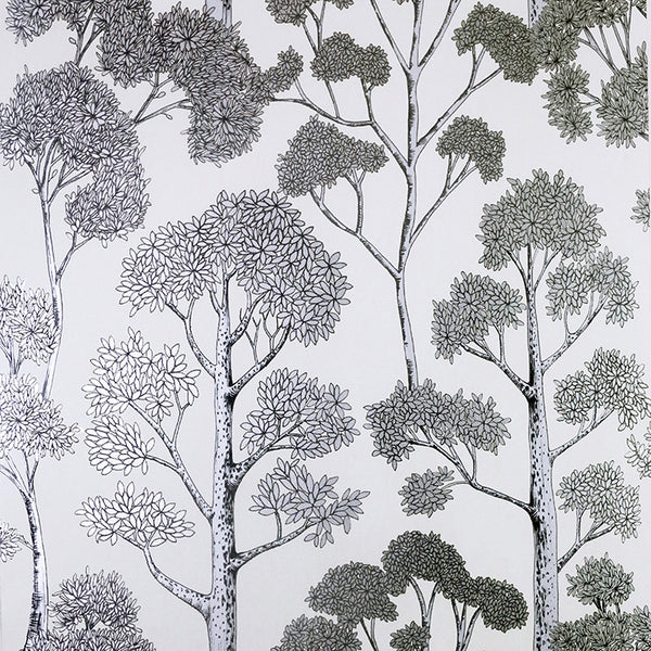 Blanche Silver | Jeffrey Stevens
