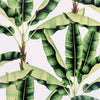 Musa, Green