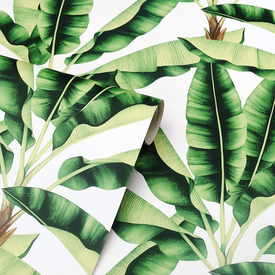 Musa, Green