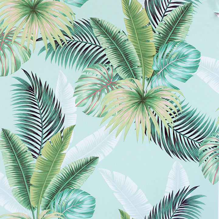Miami, Mint