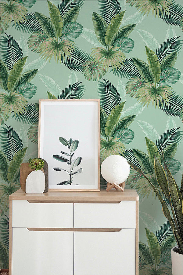 Miami, Mint