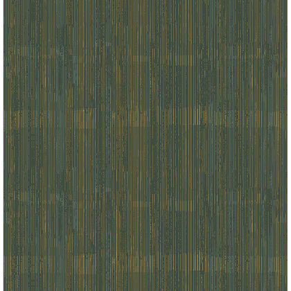 Somerset Evergreen | Jeffrey Stevens