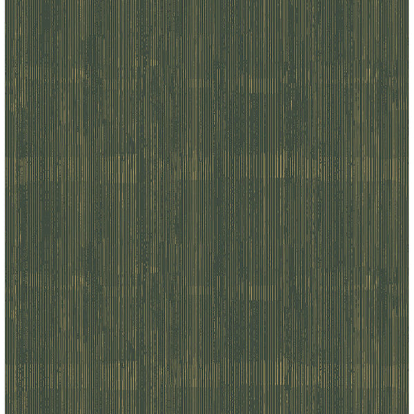 Somerset Evergreen | Jeffrey Stevens
