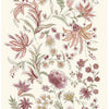Teonna, Light Grey