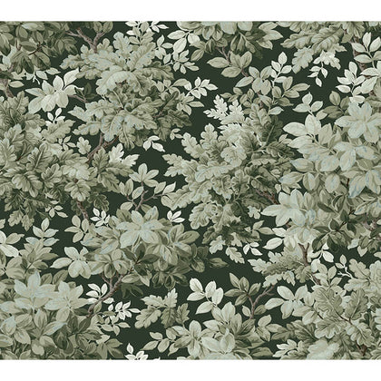 Greenwood Dark Green | Jeffrey Stevens