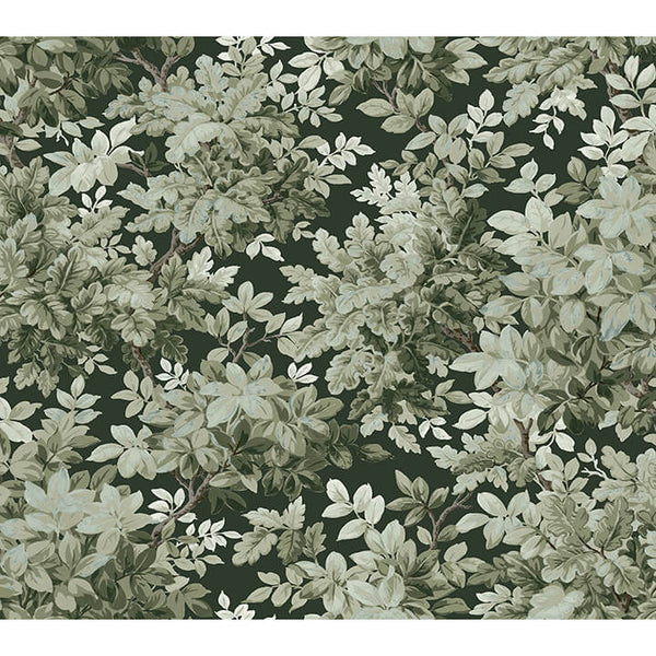Greenwood Dark Green | Jeffrey Stevens