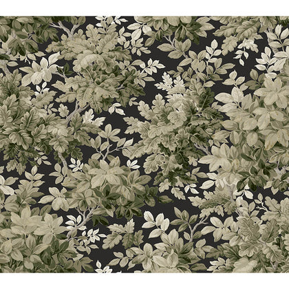 Greenwood Black | Jeffrey Stevens
