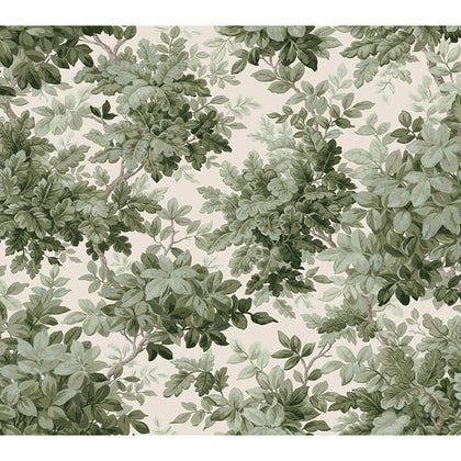 Greenwood Moss | Jeffrey Stevens