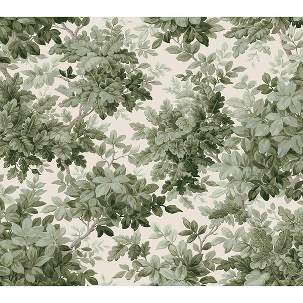 Greenwood Moss | Jeffrey Stevens