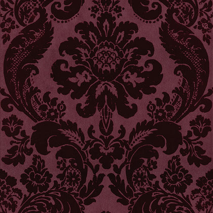 Shadow Merlot | Jeffrey Stevens