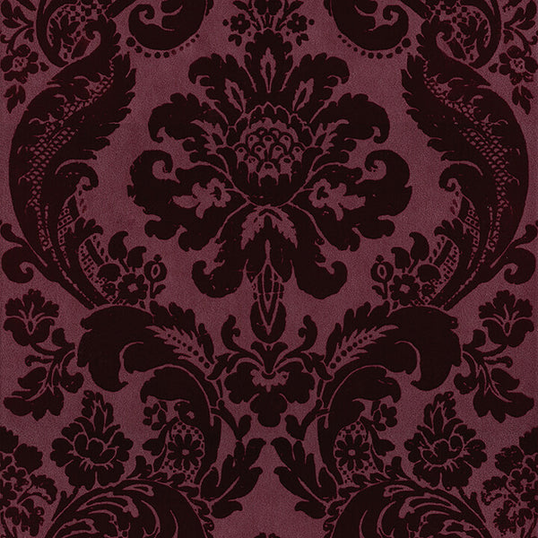 Shadow Merlot | Jeffrey Stevens
