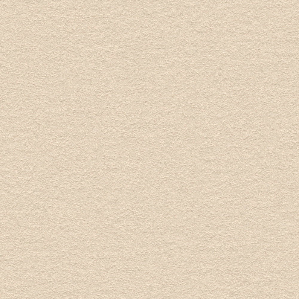 Styleguide Nature 2027 Beige Wallcovering | AS Creation