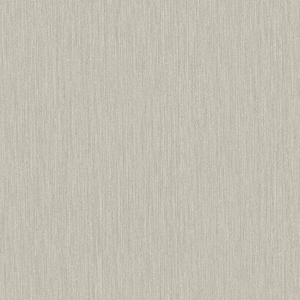 Midolin Fossil Light Brown | Jeffrey Stevens