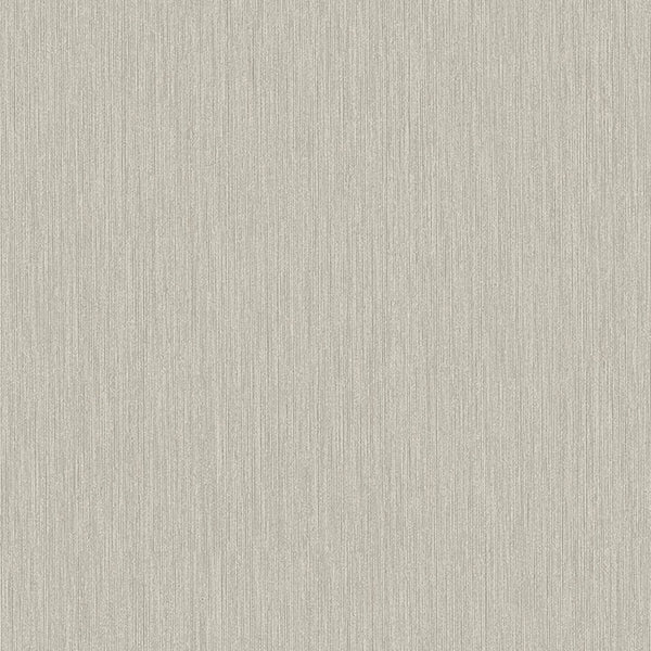 Midolin Fossil Light Brown | Jeffrey Stevens