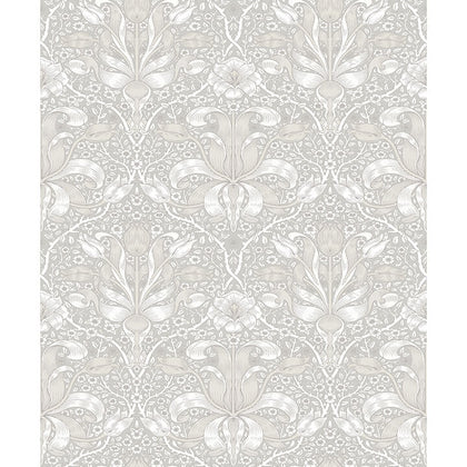 Spring Thicket Dove | Jeffrey Stevens