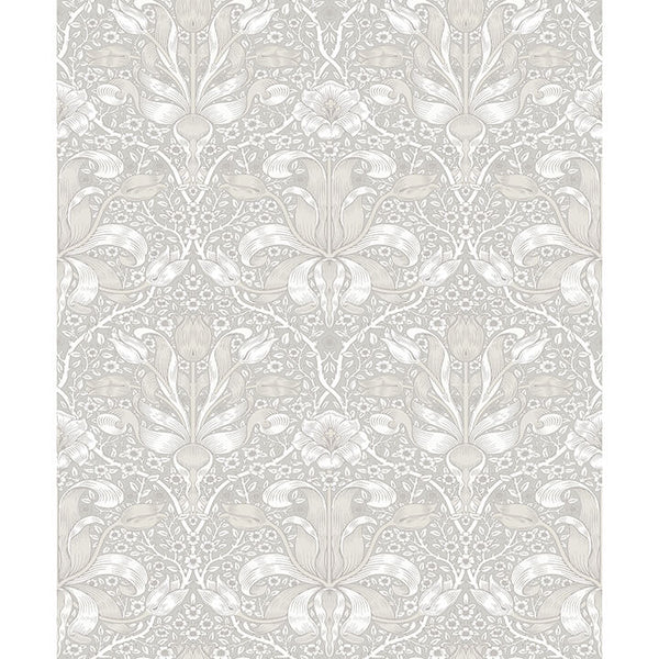 Spring Thicket Dove | Jeffrey Stevens