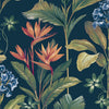 Oliana, Navy