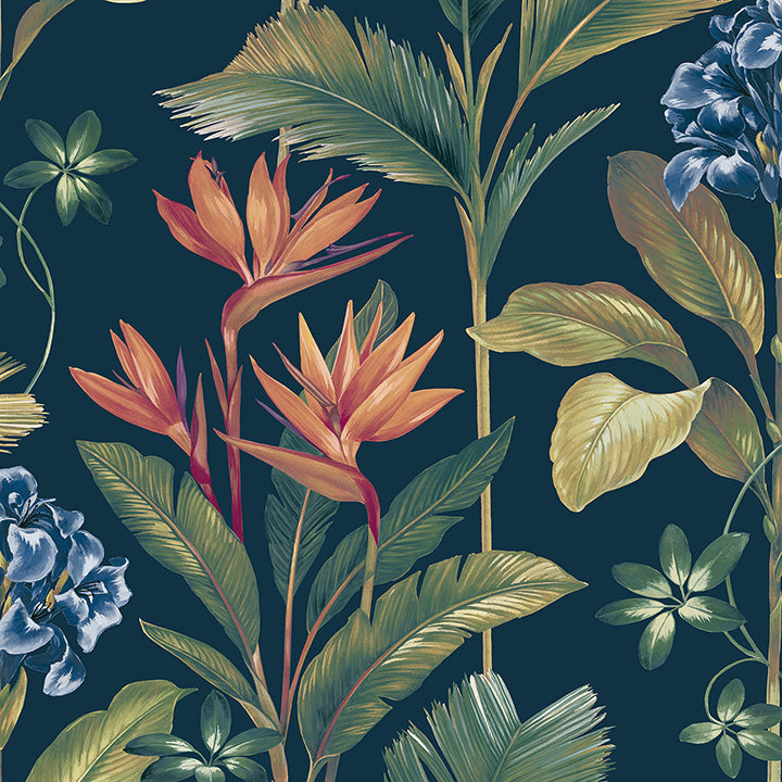 Oliana, Navy