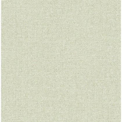 Kameez Green | Jeffrey Stevens